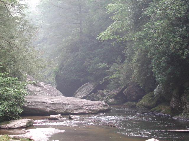 the Chattooga 