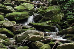 stream, with boulders