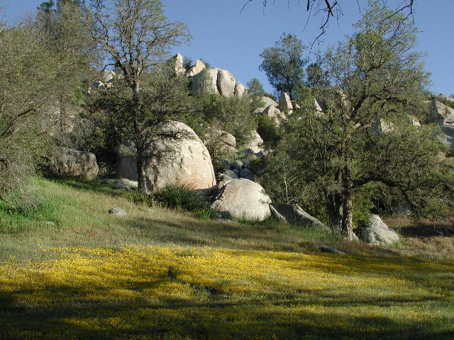 classic CA landscape