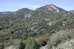 western Sierra Nevada foothills