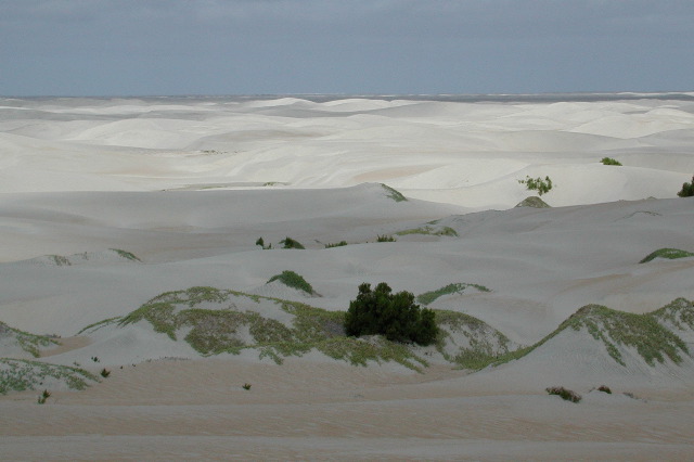 dunes near Guerro Negro, BCN