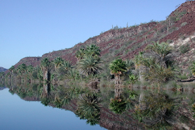 Laguna San Ignacio