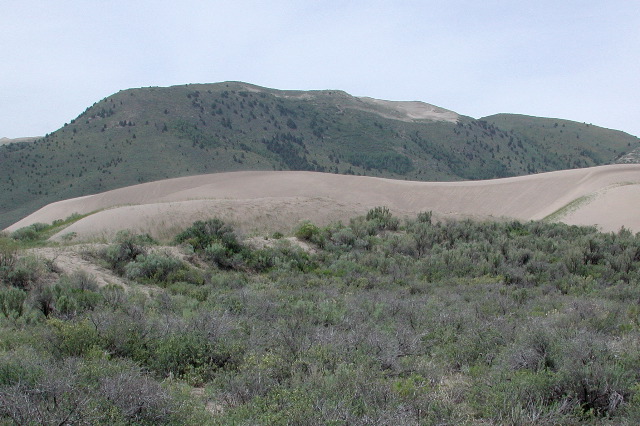 dunes near St. Joseph, ID