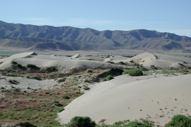 Little Sahara Dunes, UT
