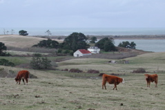 south of Humboldt Bay